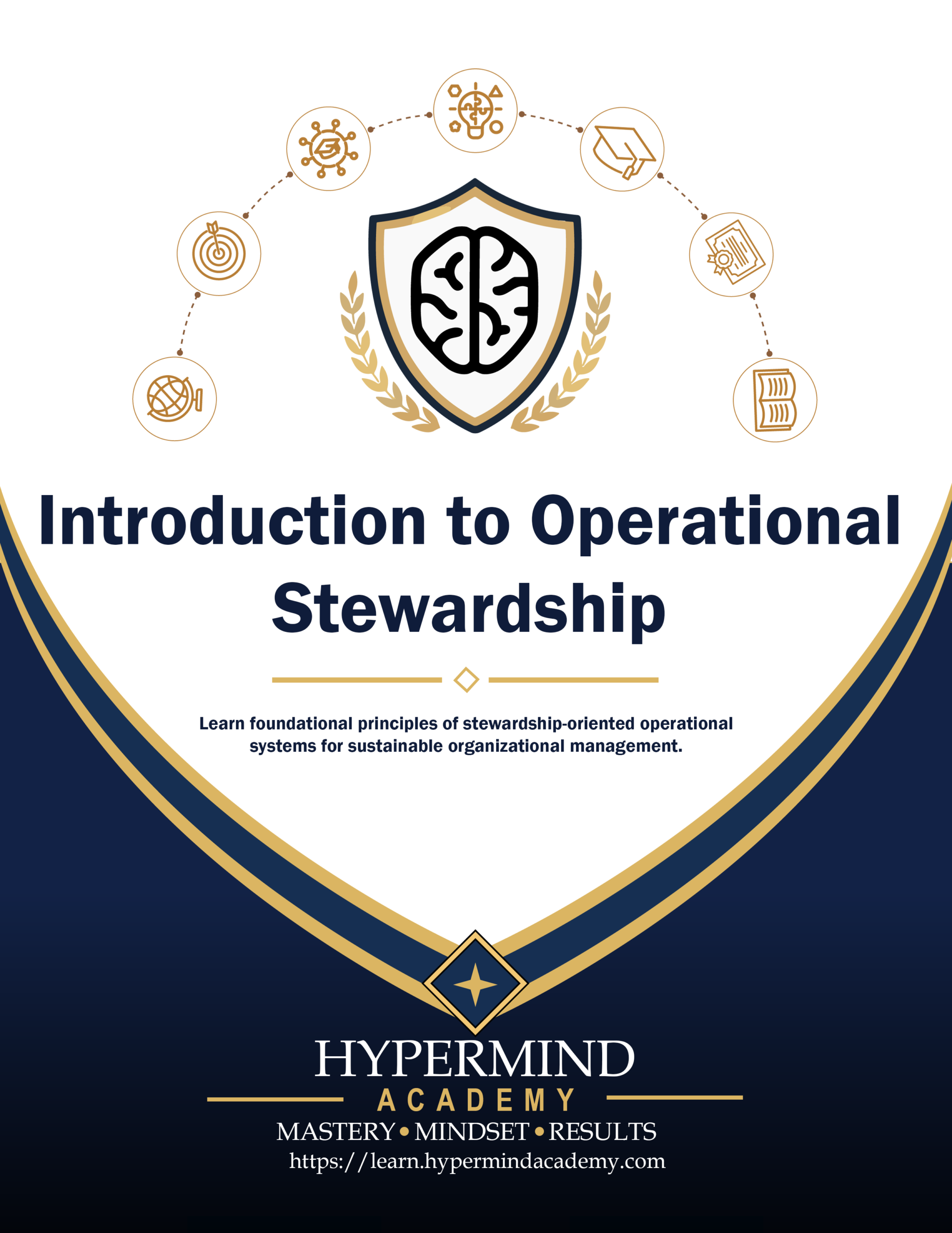 Introduction to Operational Stewardship Book Cover Art